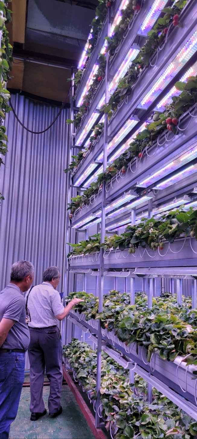 Smart farm